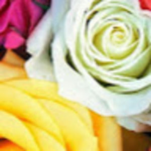 Meet your Posher, Frances